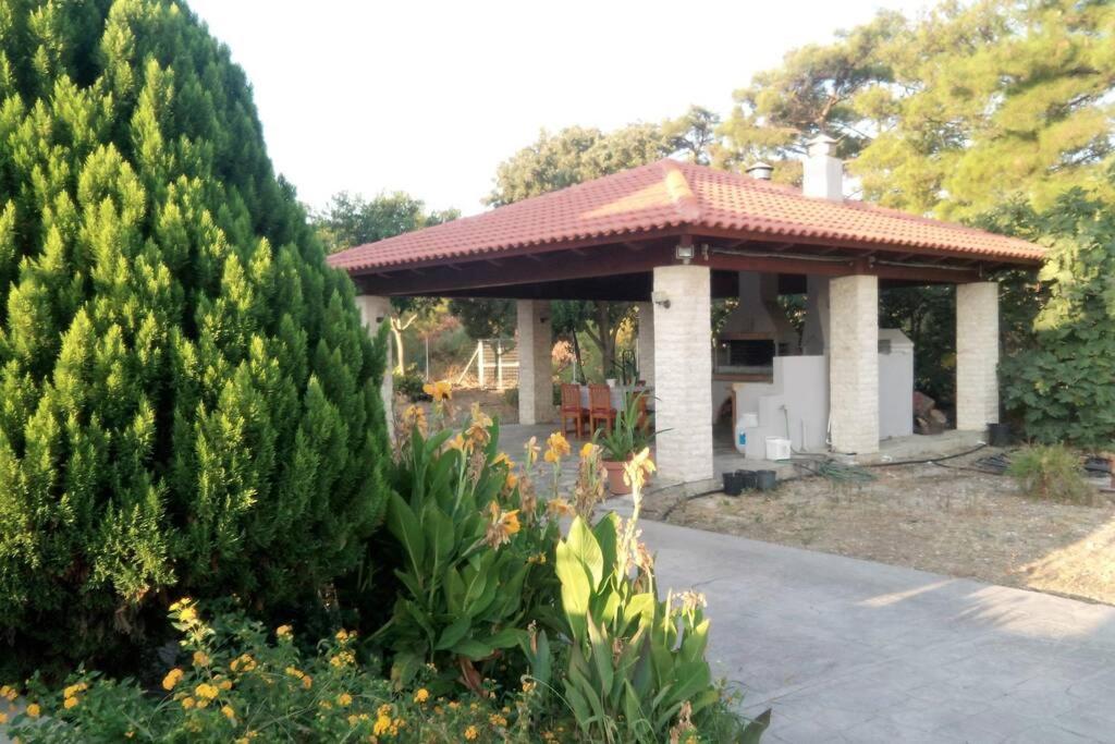 Fiore Di Rodi - Private Pool, Jacuzzi And Barbecue Ialysos  Ngoại thất bức ảnh